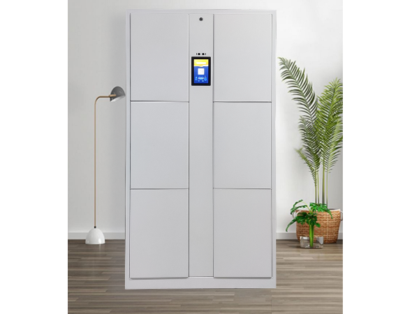 6門人臉識別智能儲物柜