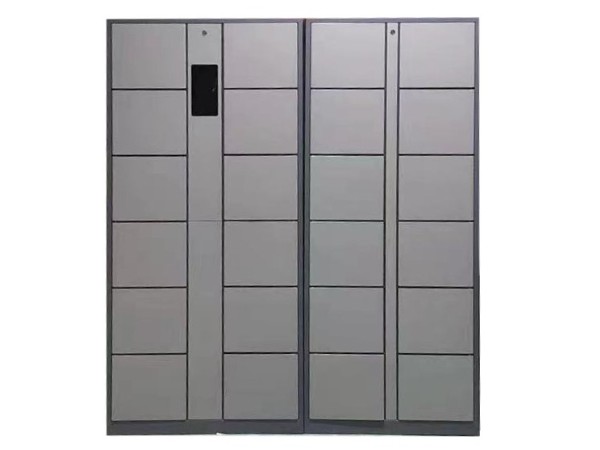 慧儲(chǔ)學(xué)校智能儲(chǔ)物柜 定制化智能儲(chǔ)物柜 滿(mǎn)足個(gè)性化存儲(chǔ)需求